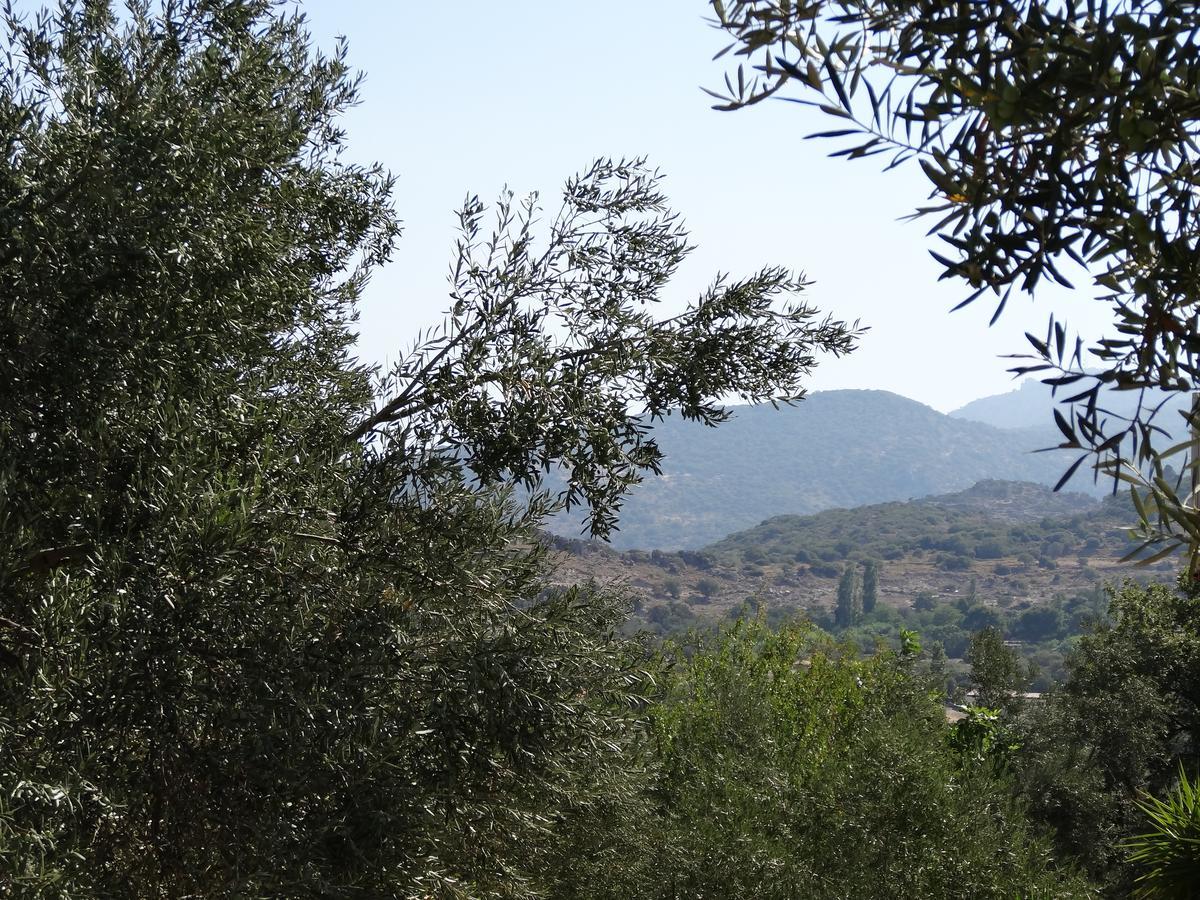 Lassia Aparthotel Petra (Lesbos)