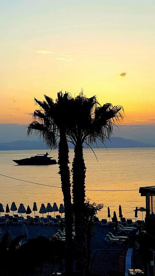 Hotel Popi