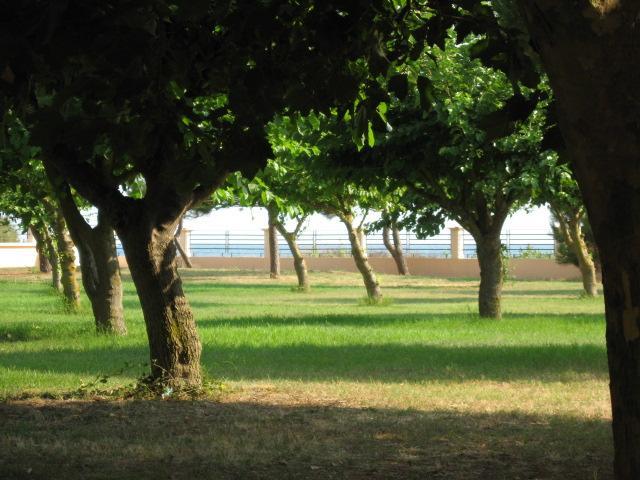 Hotel Elena 3*