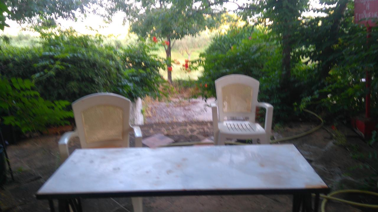 Aliki's House *