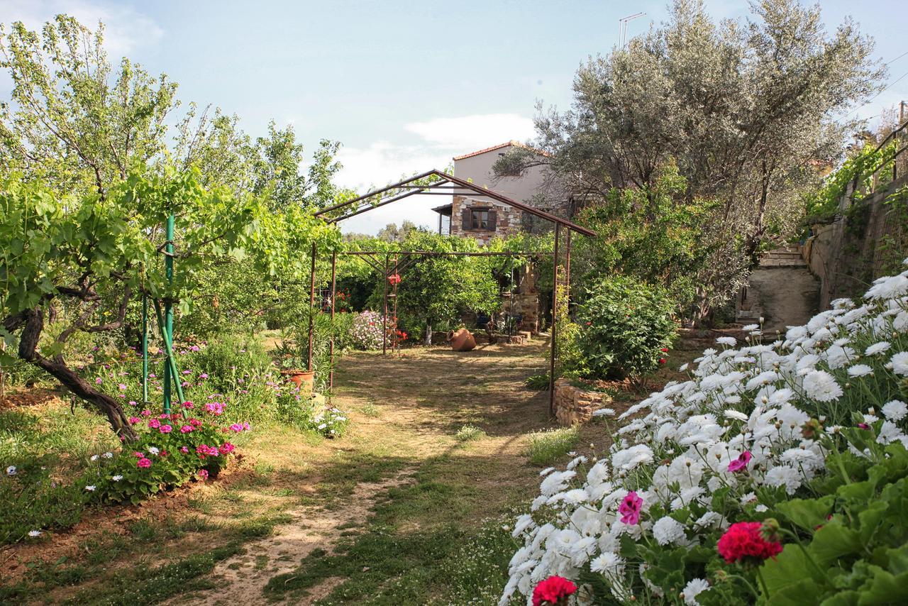 Venetis Luxury Apartments *