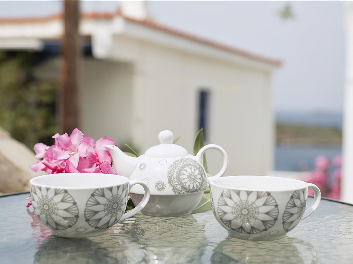 Villa Fiamegou * Batsi (Andros)