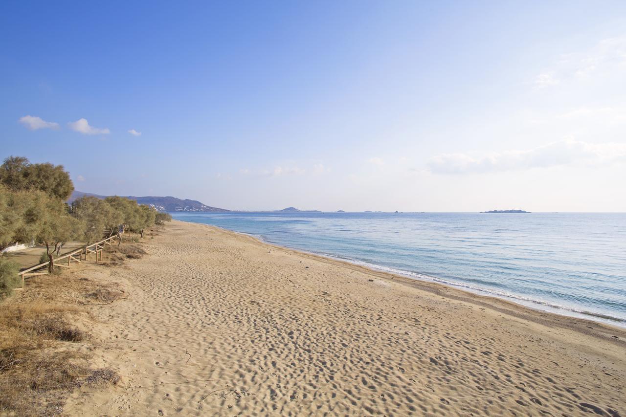 Naxos Luxury Villa *