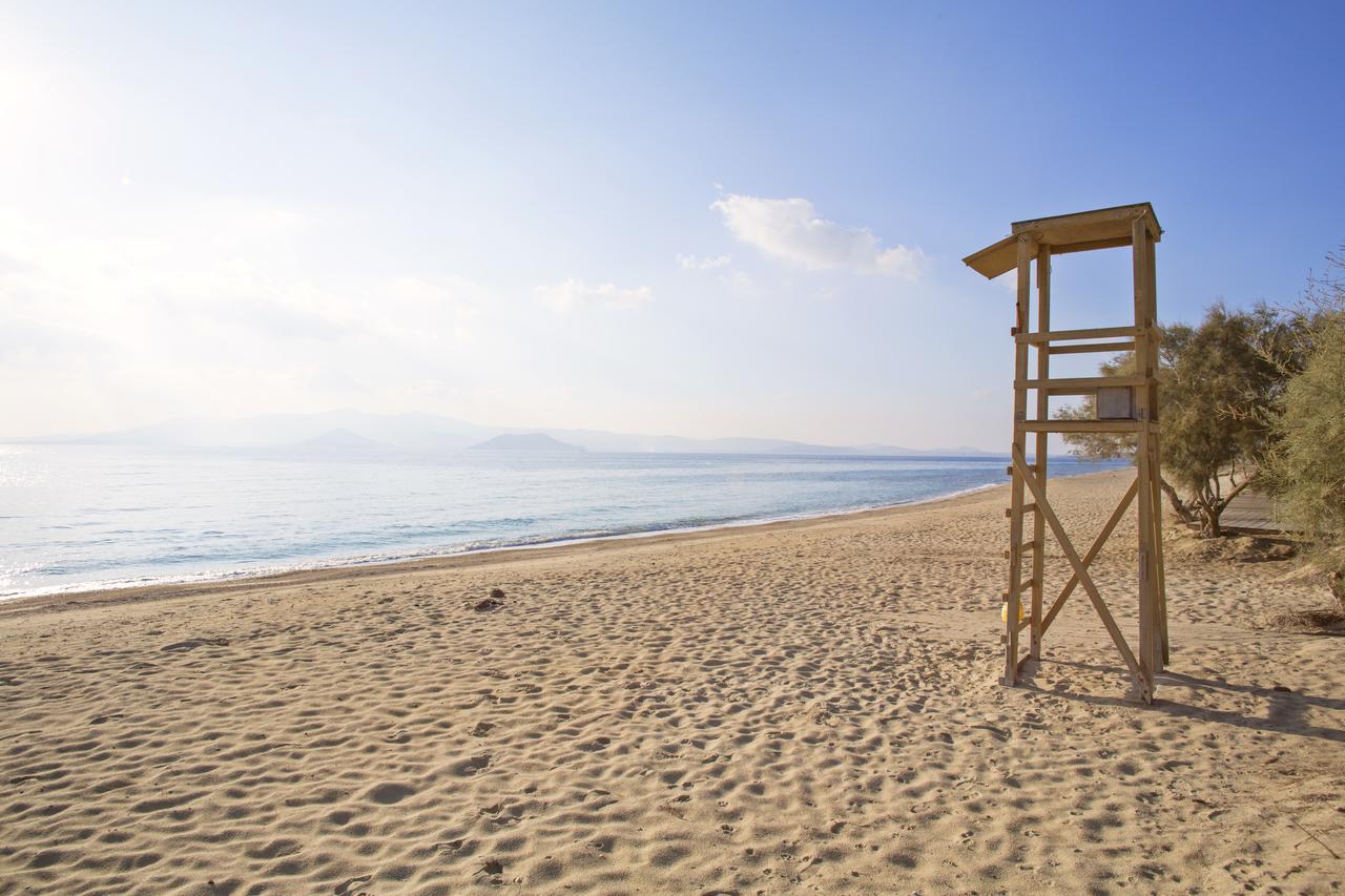 Naxos Luxury Villa *