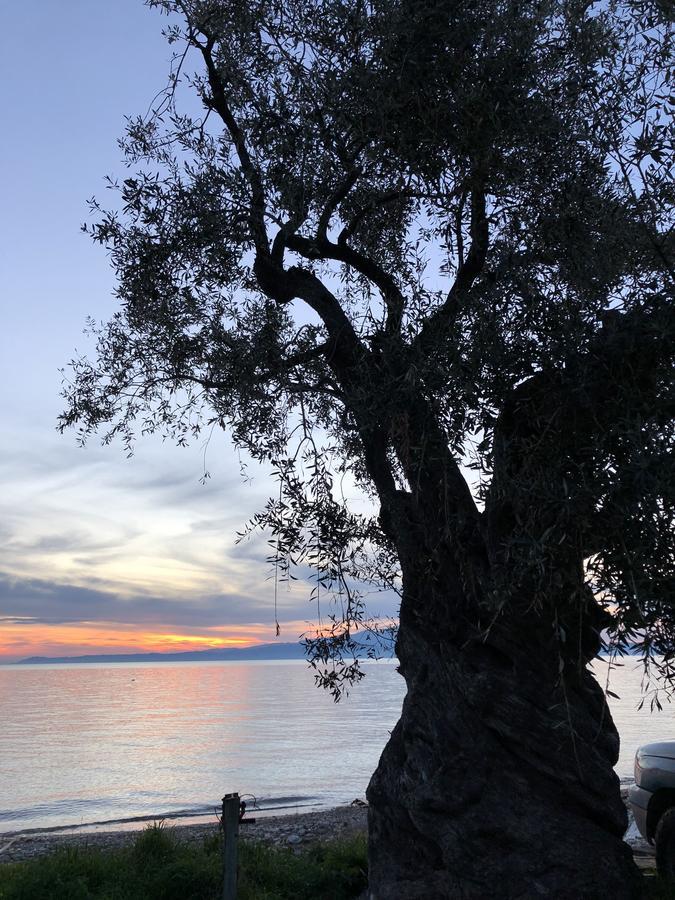 Byblos Luxury Prinos (Thasos)