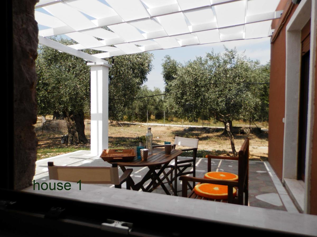 Villa Elea Stone In Organic Quiet Olive Grove, Prinos, Thassos *