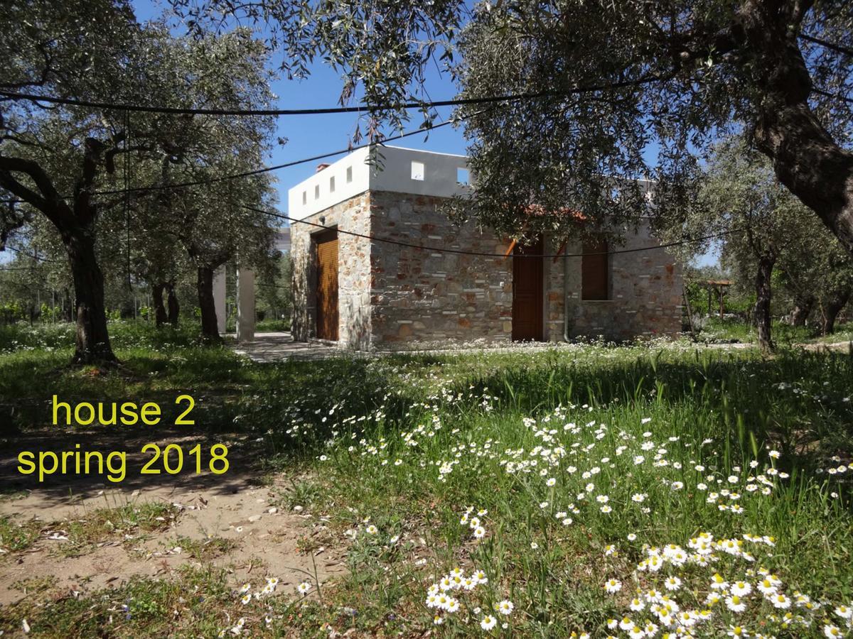 Villa Elea Stone In Organic Quiet Olive Grove, Prinos, Thassos