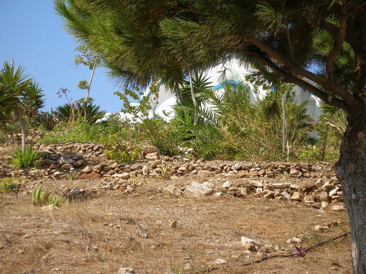 Adamite Sounion