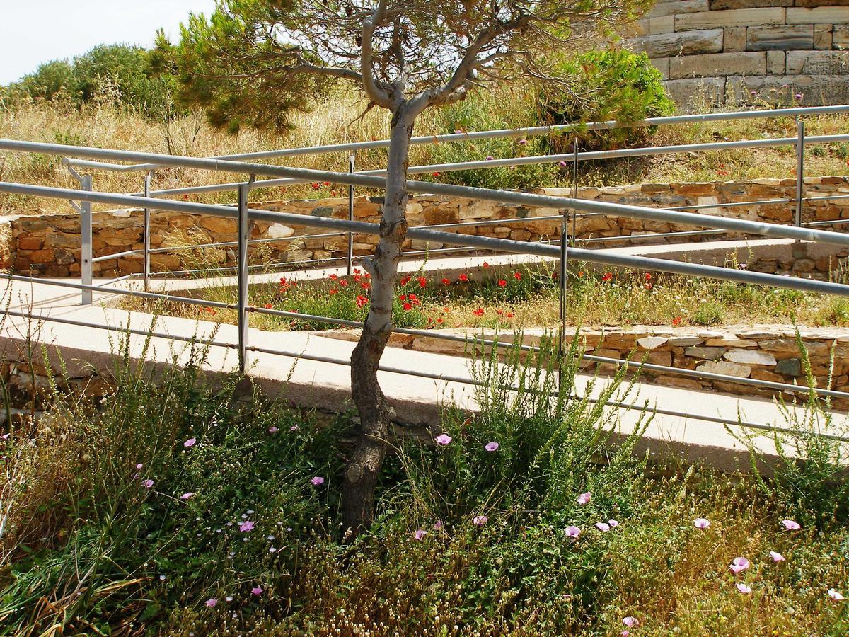 Villa Adamite