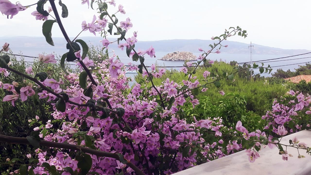 Apartment Vlichos *