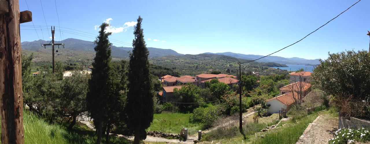 Apartment Anemona *