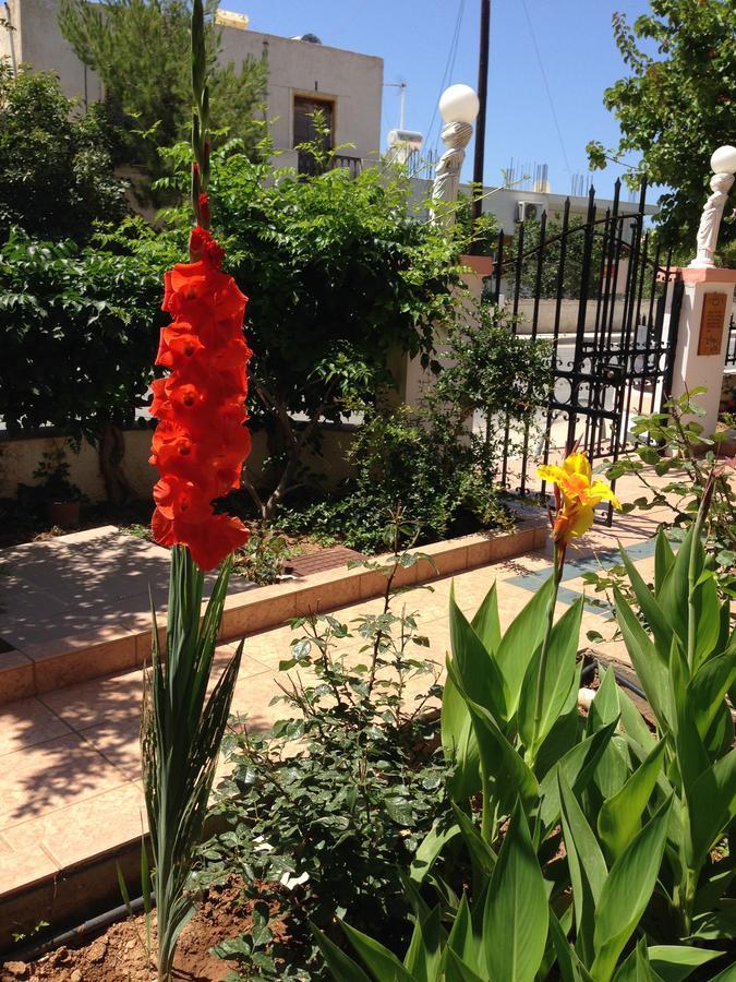 Palmira Apartment *