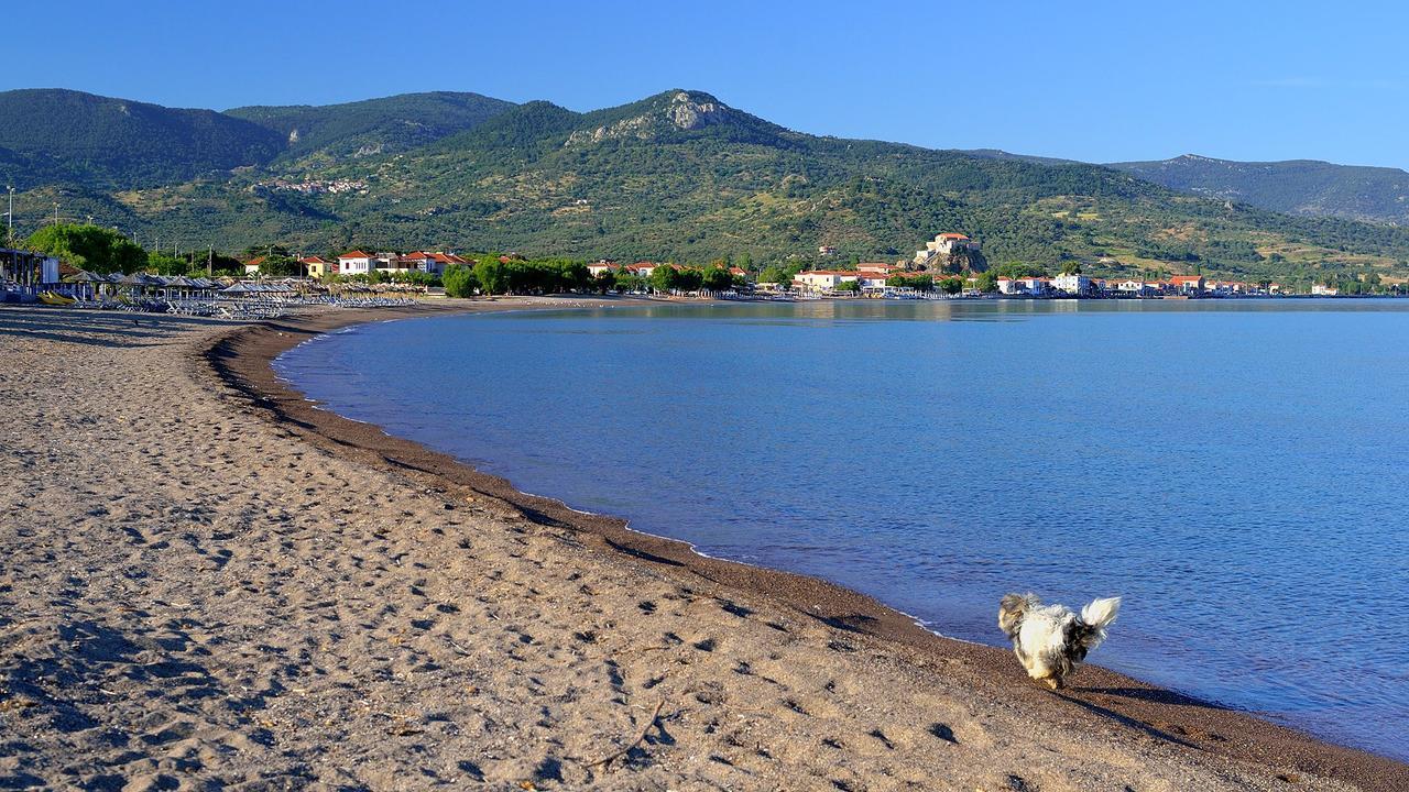 Panorama Hotel