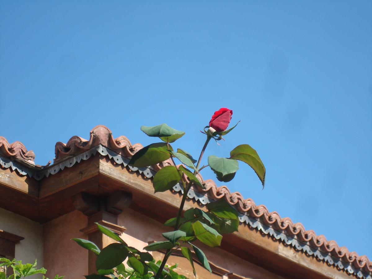 Inn Oikia Alexandrou Traditional Arnaia