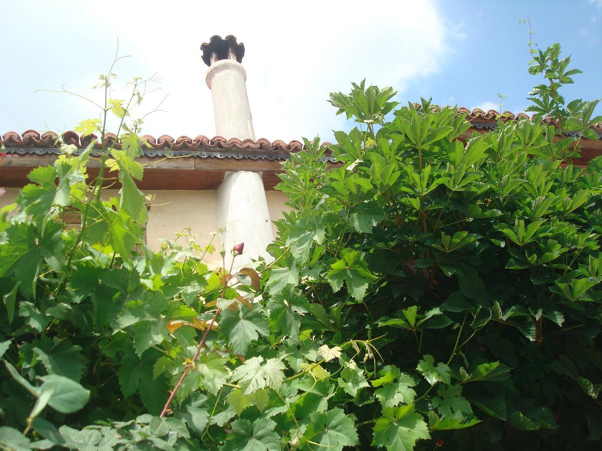 Inn Oikia Alexandrou Traditional Arnaia