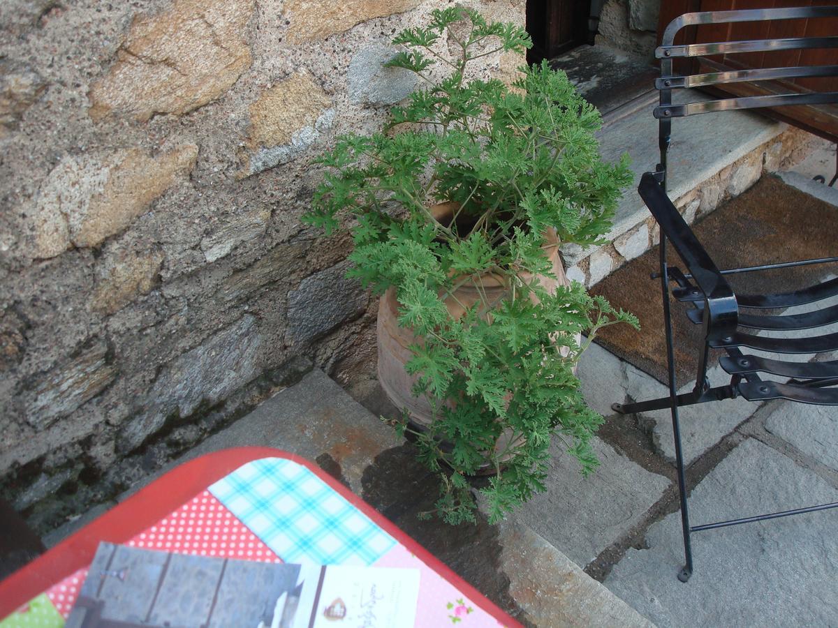 Oikia Alexandrou Traditional