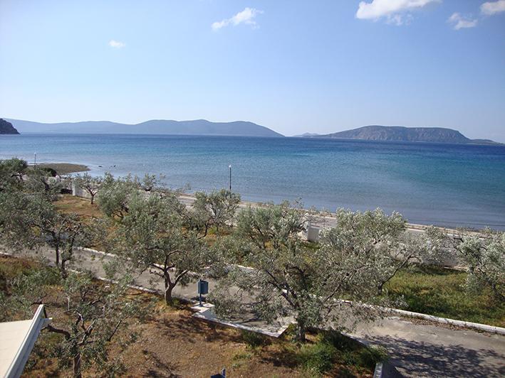 Hotel Dardiza