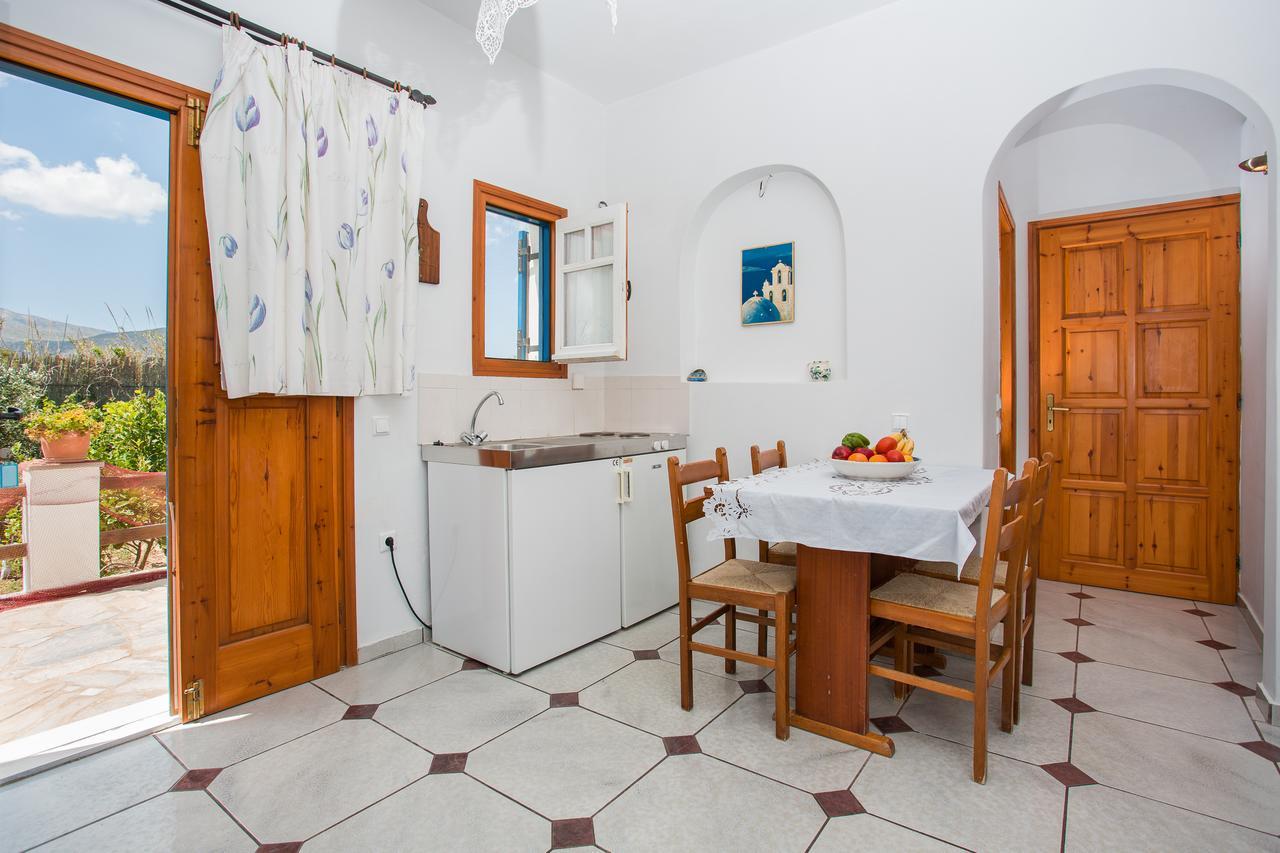 Apartment Ragoussis House *