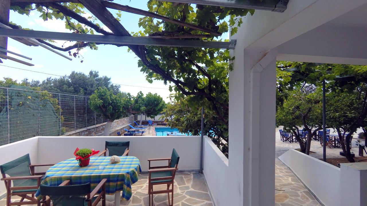 Zeus Karystos (Evia)