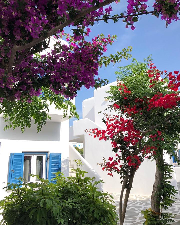 Hotel Acrogiali Beachfront Mykonos 4*
