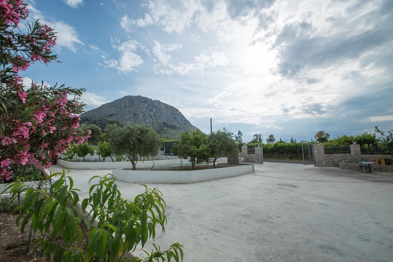 Apartment Acrocorinth