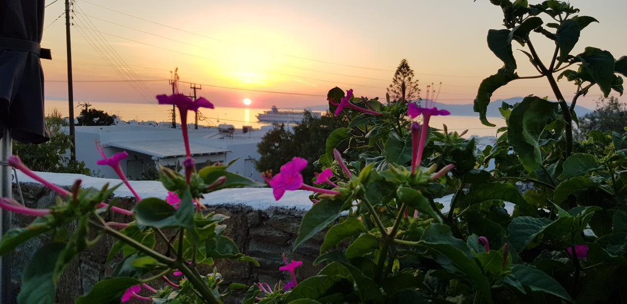 Guest house Varnali Small Boutique Mykonos Town