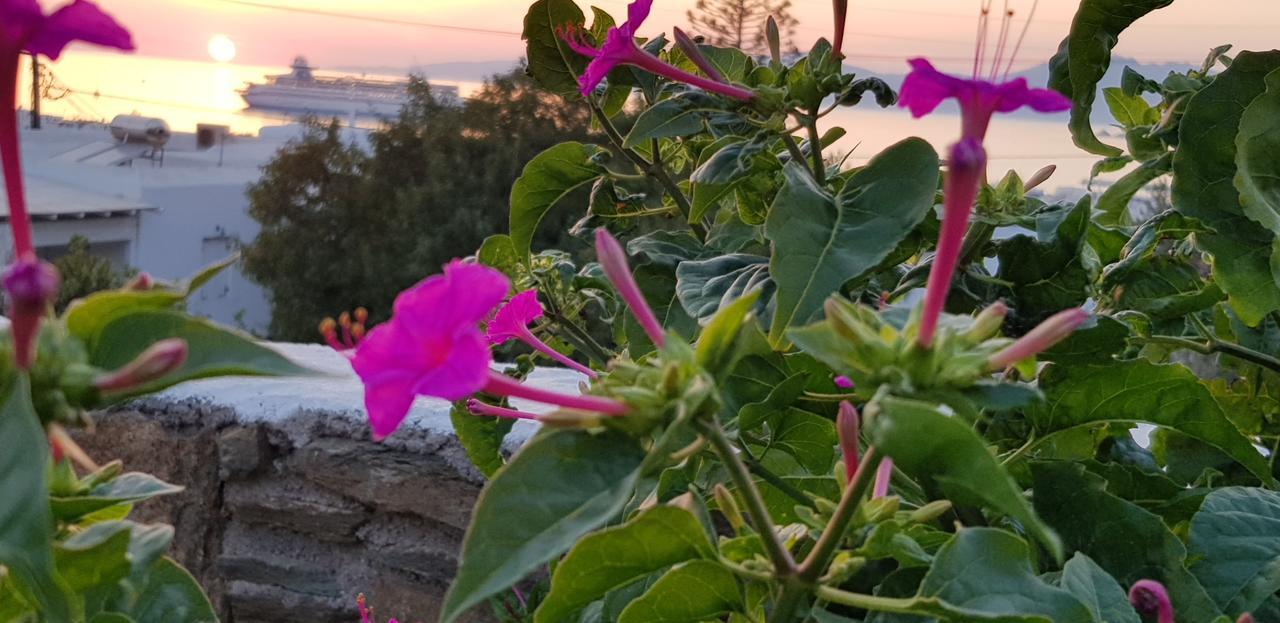 Varnali Small Boutique Guest house Mykonos Town