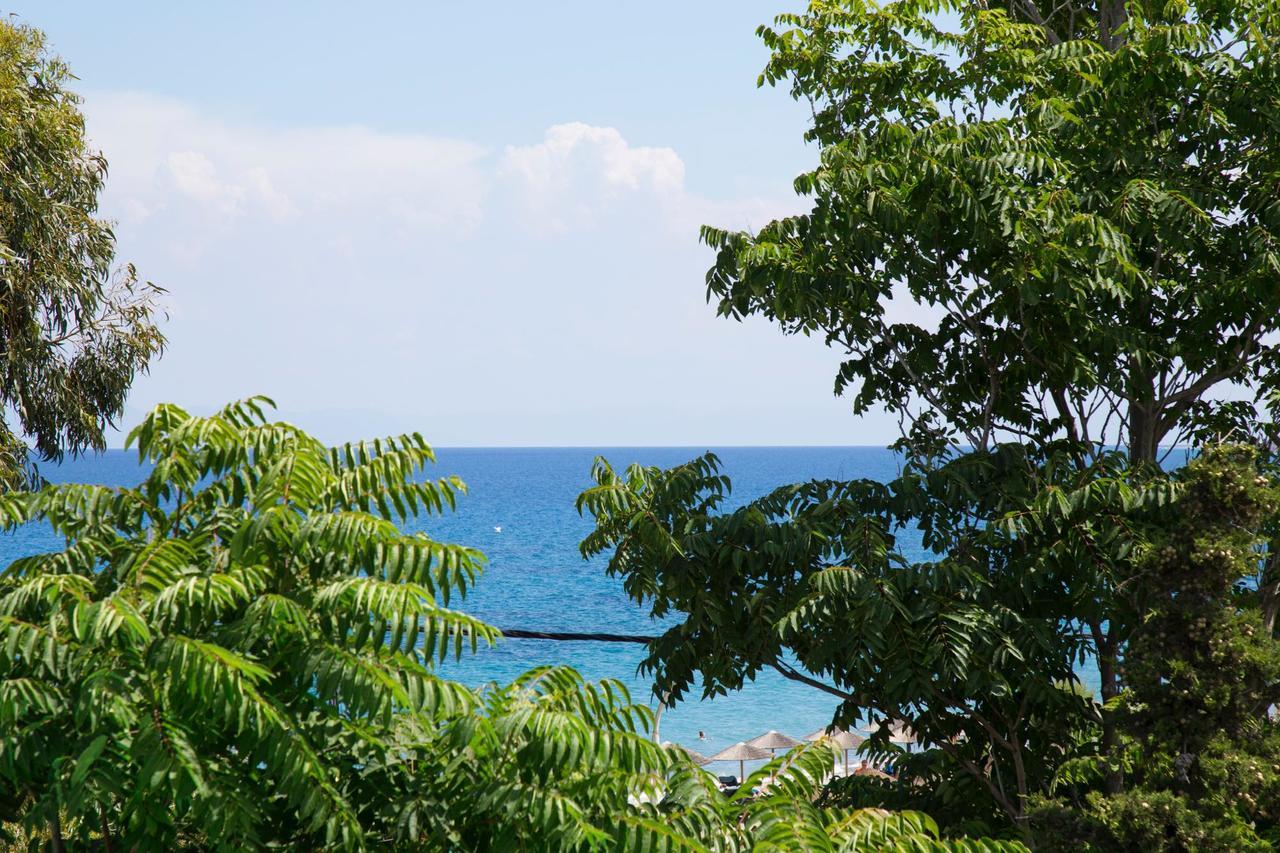 Elenis Philoxenia Ixia (Rhodes)