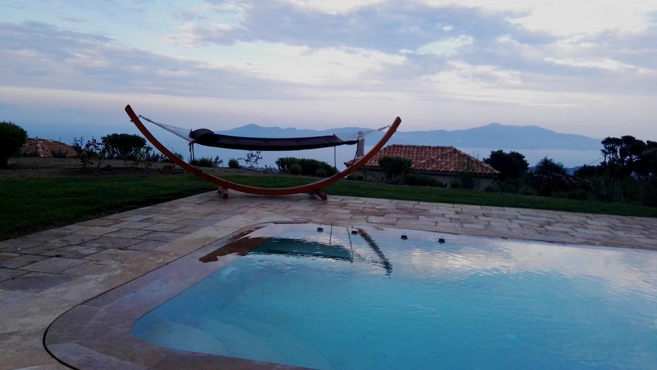 Angio Lux