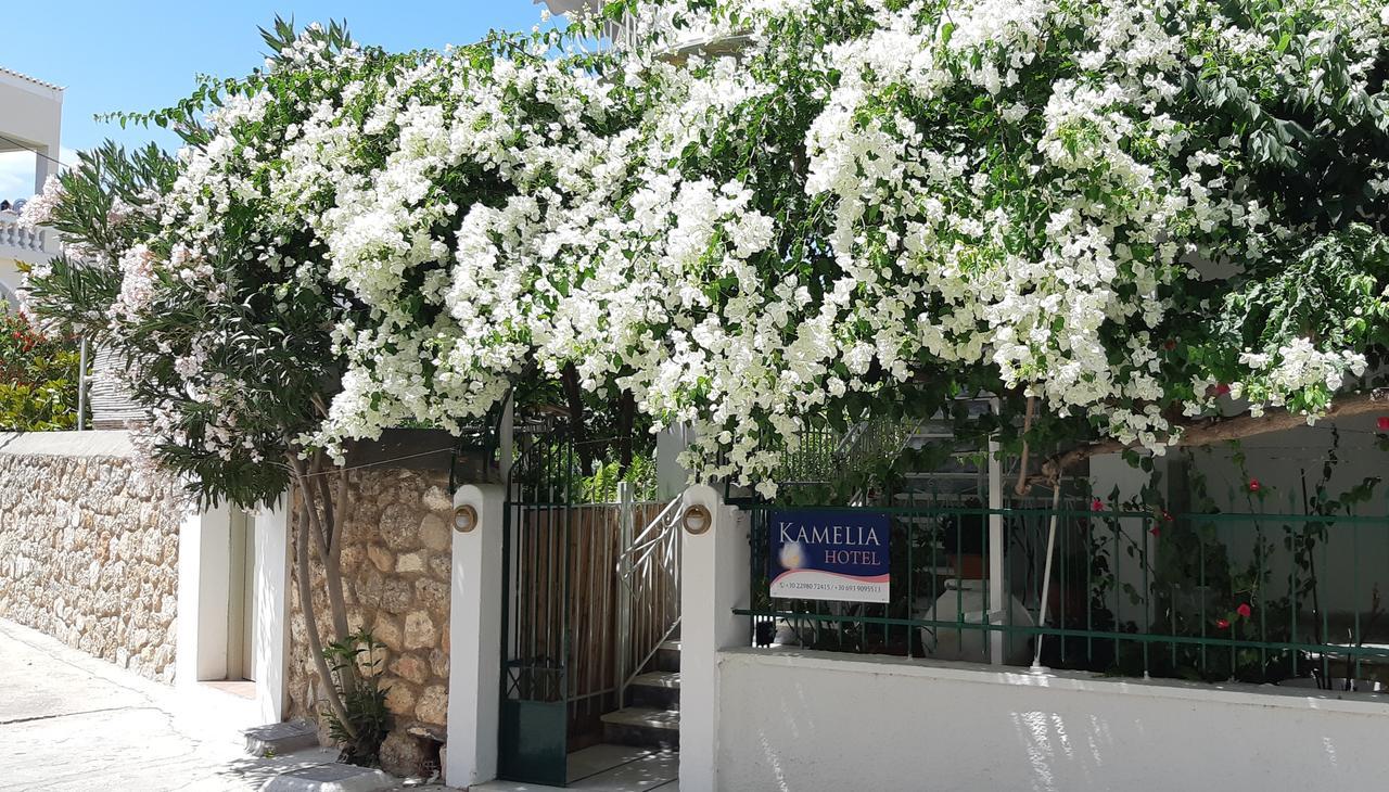 Hotel Kamelia Spetses Town