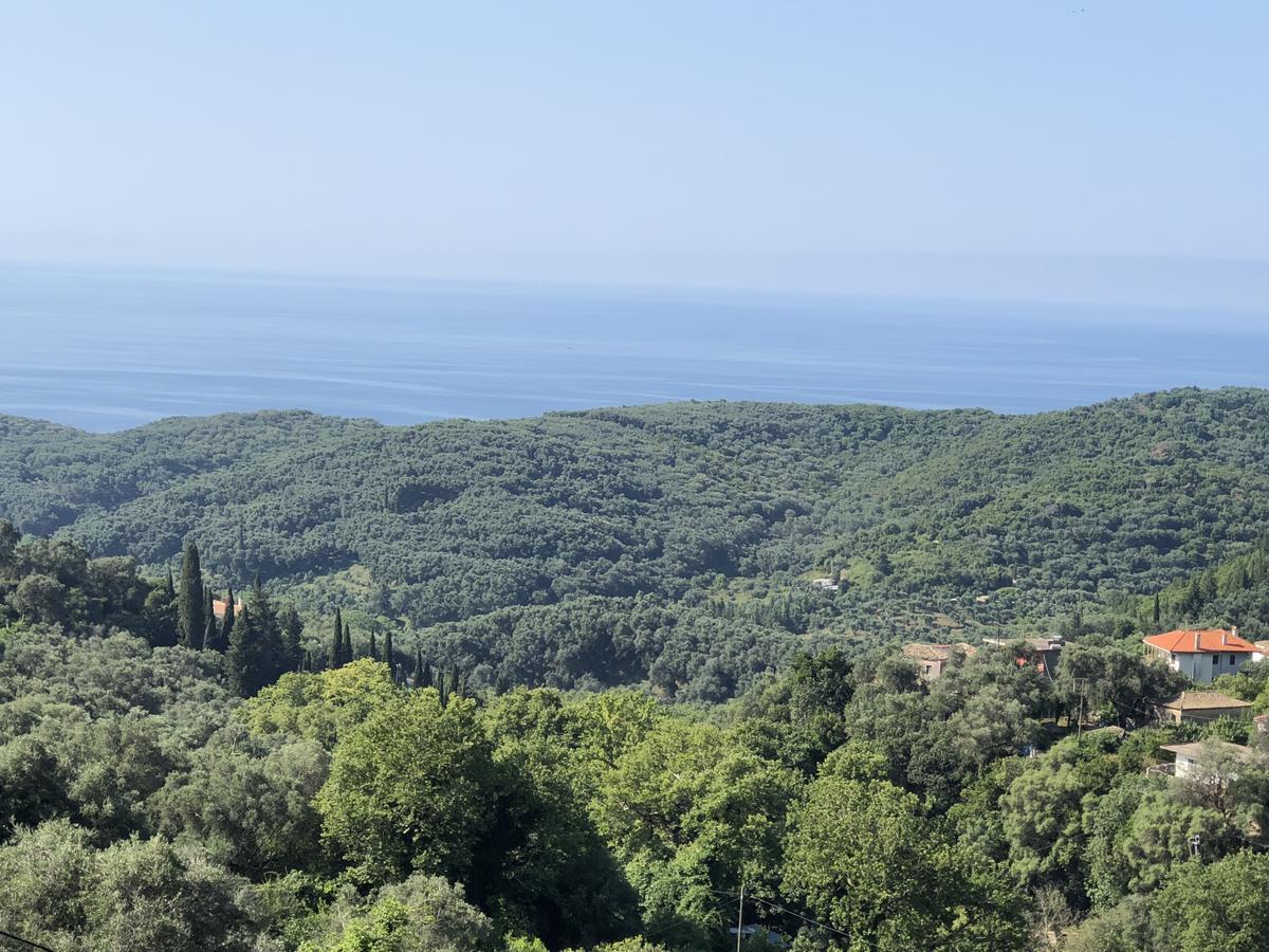 Spyridonou House Apartment Parga