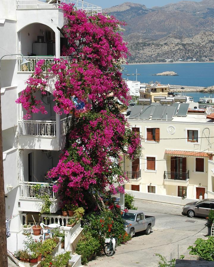Roses Studios Apartment *
