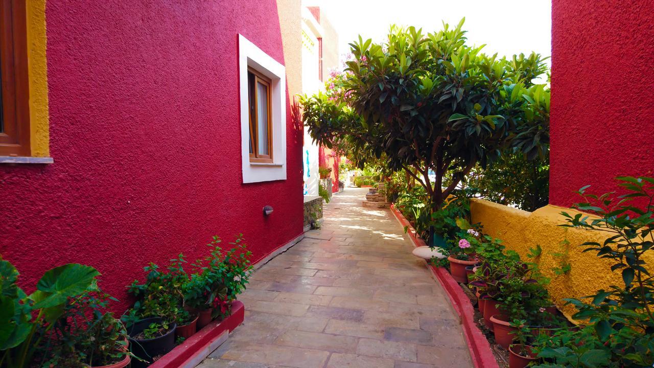 Aparthotel Katerini Platanes (Rethymno)