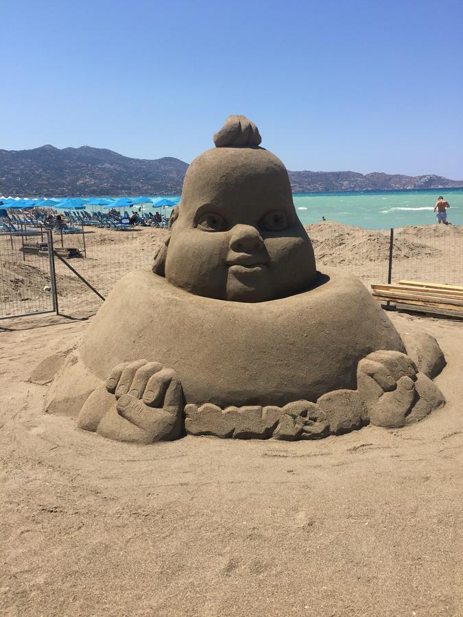 Ceratonia * Malia (Crete)