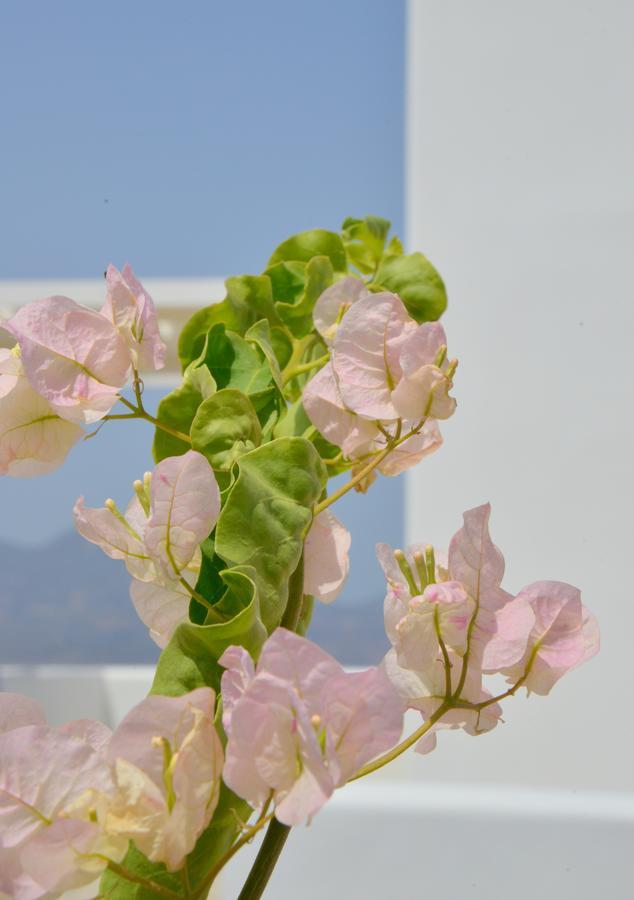 Hawk Stone Apartment Adamantas (Milos)