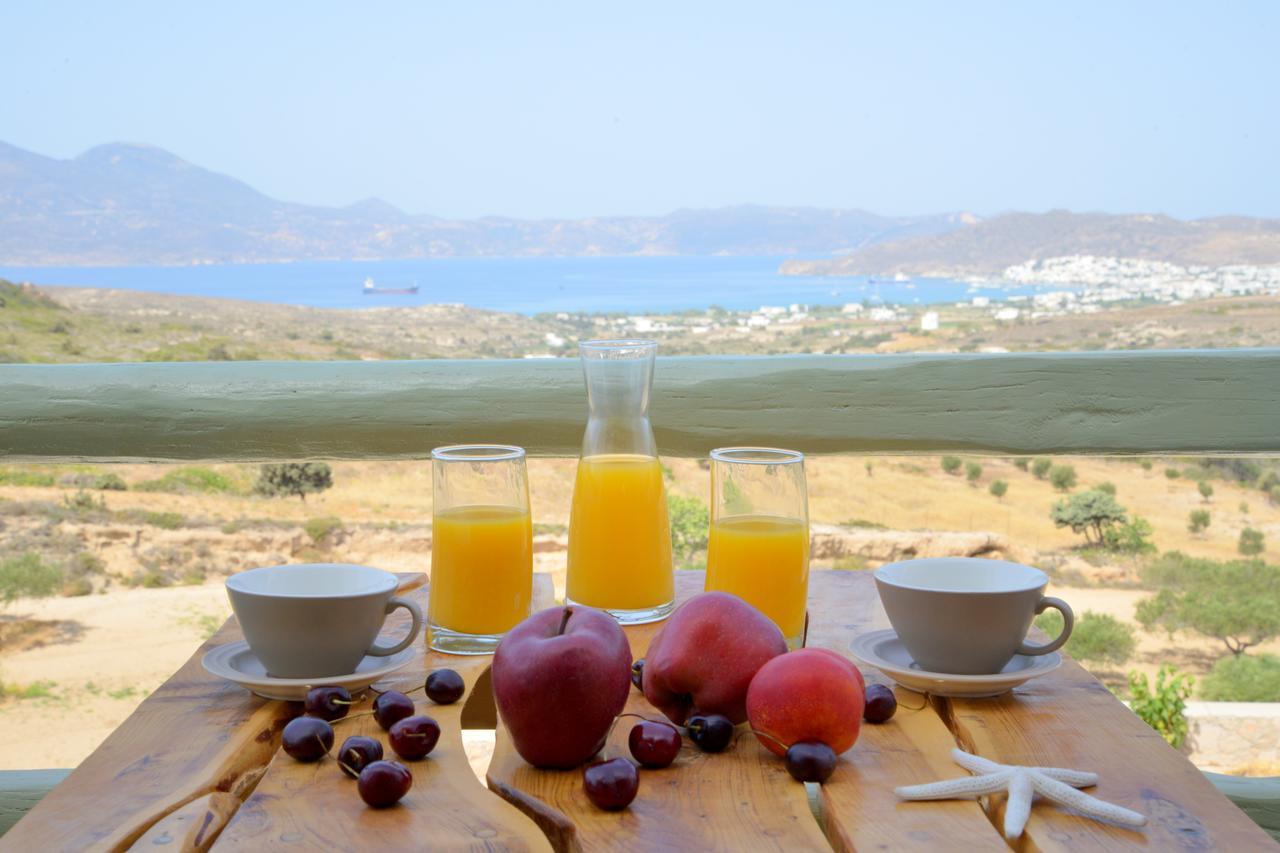 Apartment Hawk Stone Adamantas (Milos)