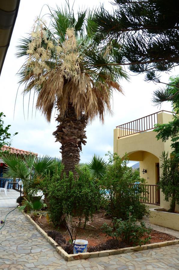Aparthotel Alex Home Apartments *