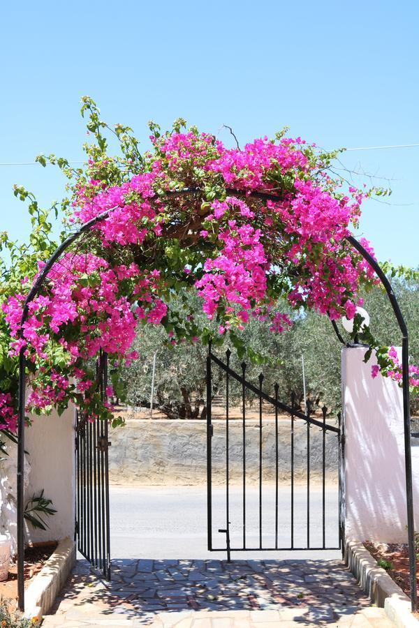 Aparthotel Alex Home Apartments Hersonissos (Crete)