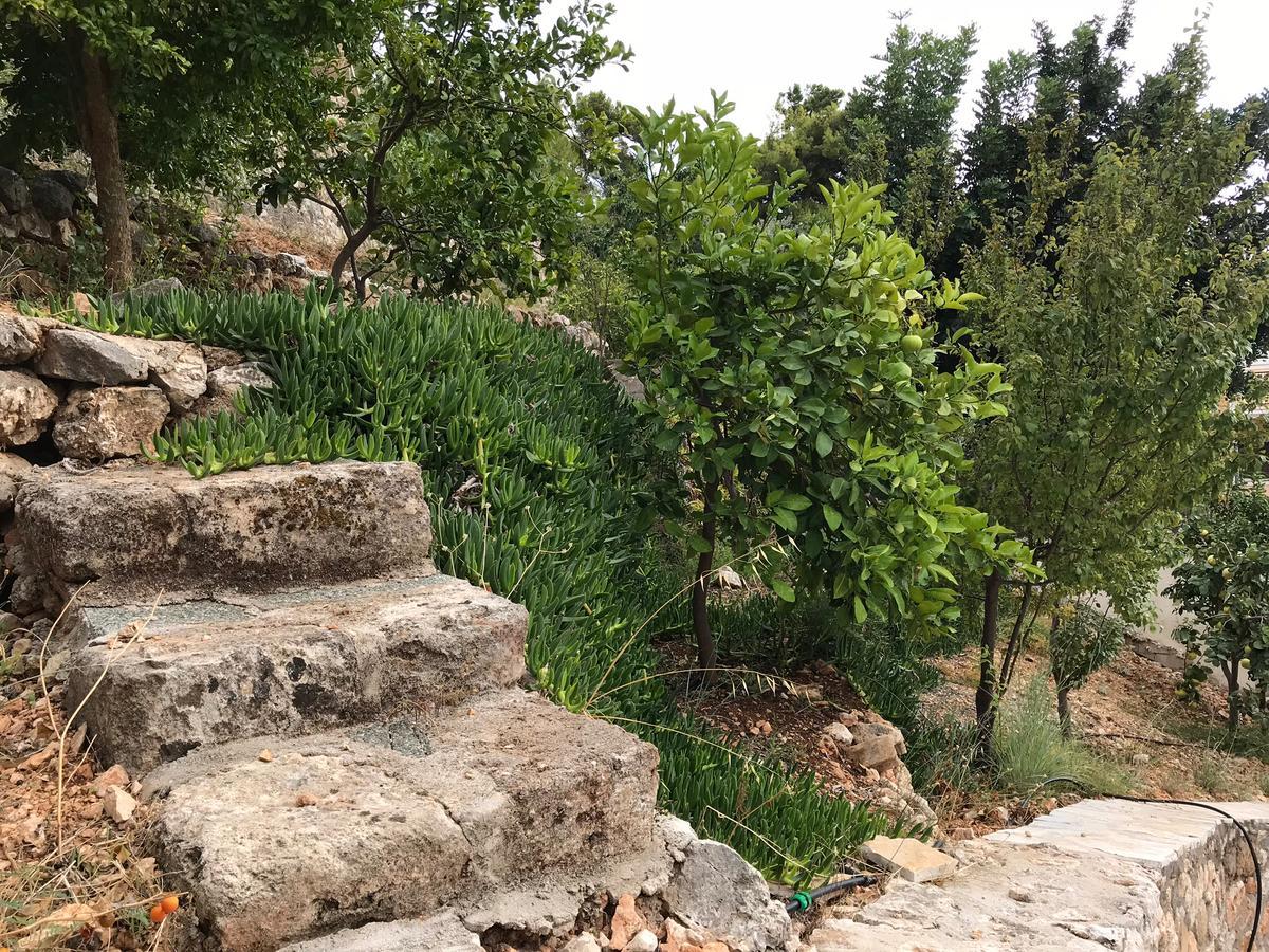 Apartment Katarina Kefalonia - Sea View