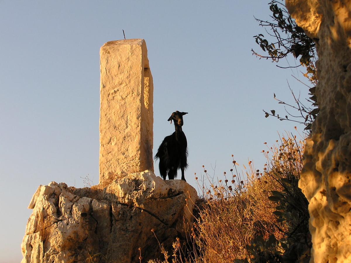 Dais Aparthotel Mytikas (Aetolia-Acarnania)