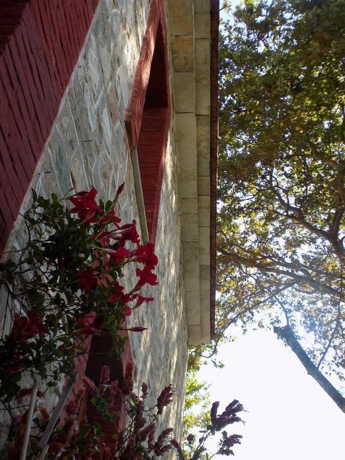 Hostel Chrysochou *