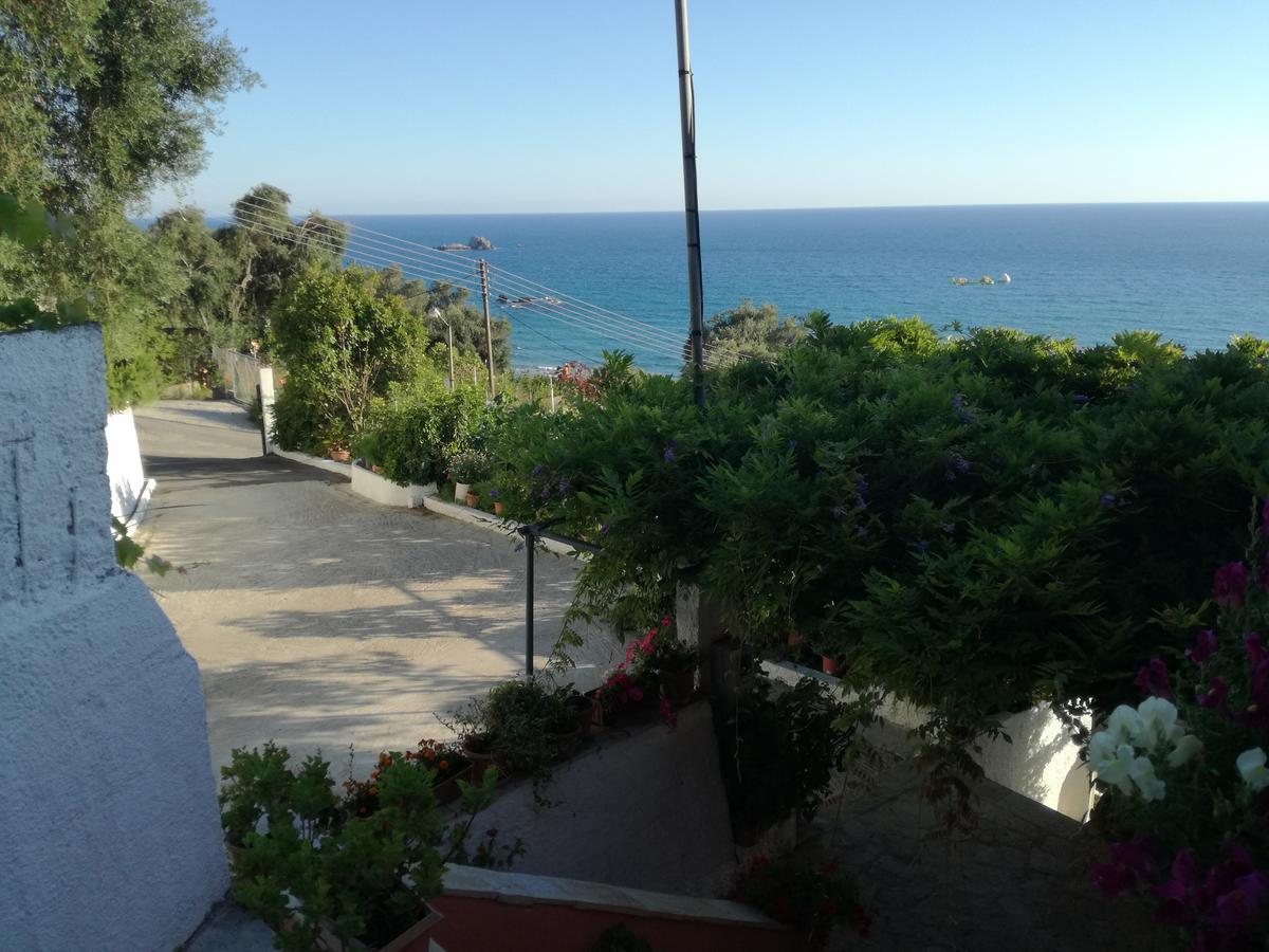 Fotini's -