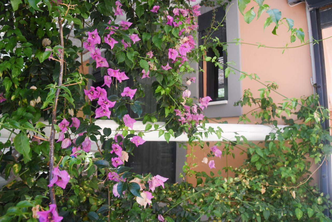 Aparthotel Alissachni Luxury 3*