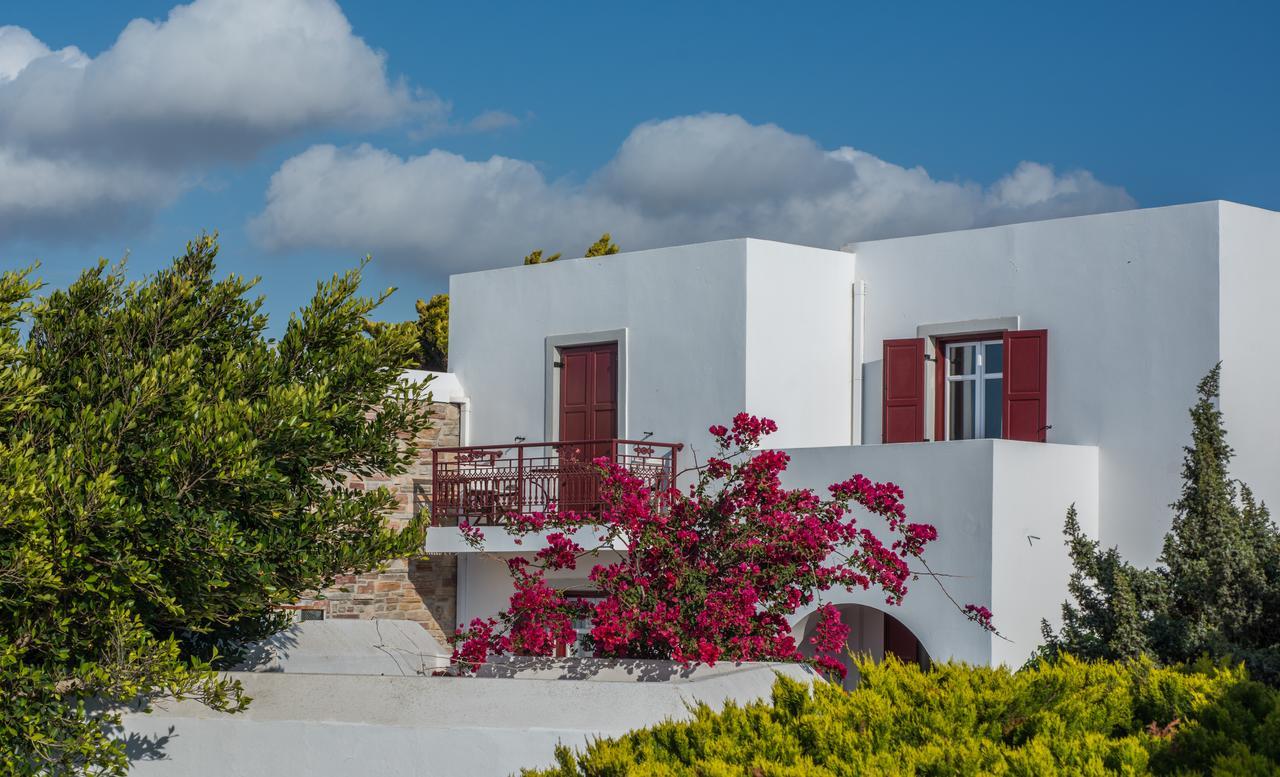 Hotel Naxos Palace