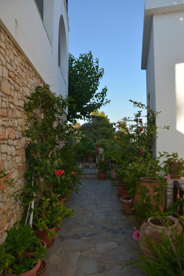 Aparthotel Andromeda 2*
