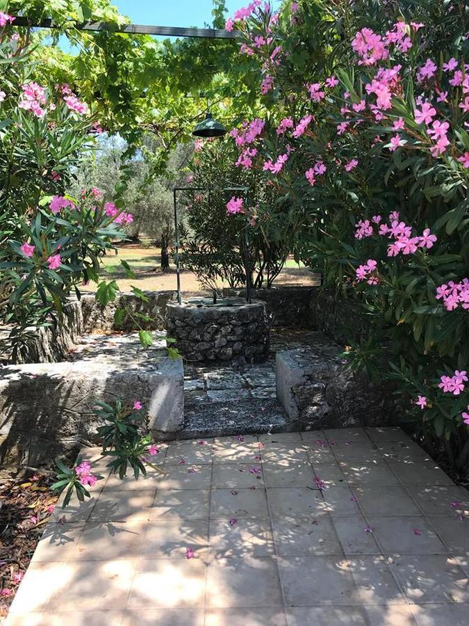 Guest house Gentilini Retreat