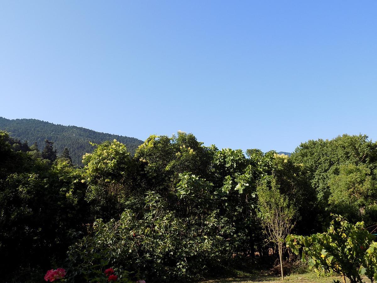 Eleftherios Guest house Kalavryta