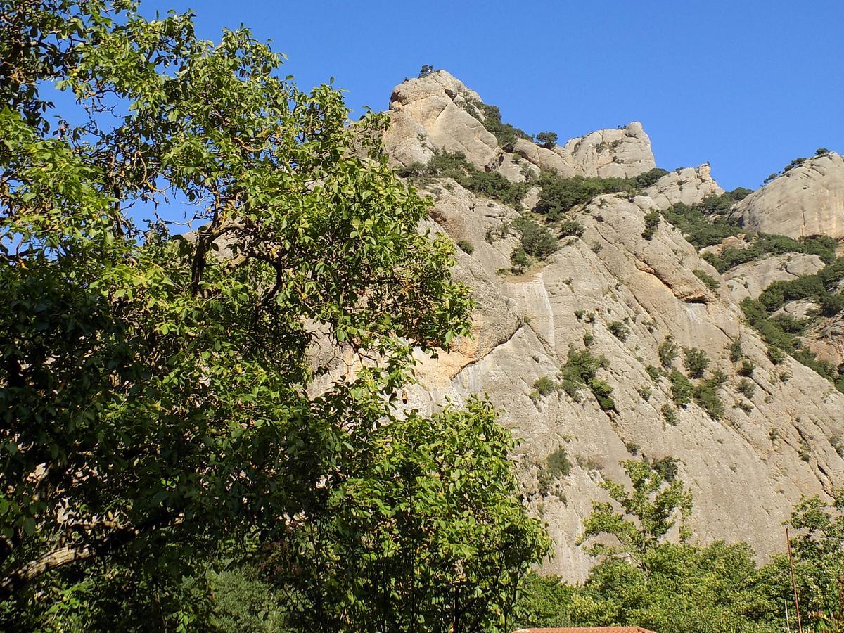 Eleftherios