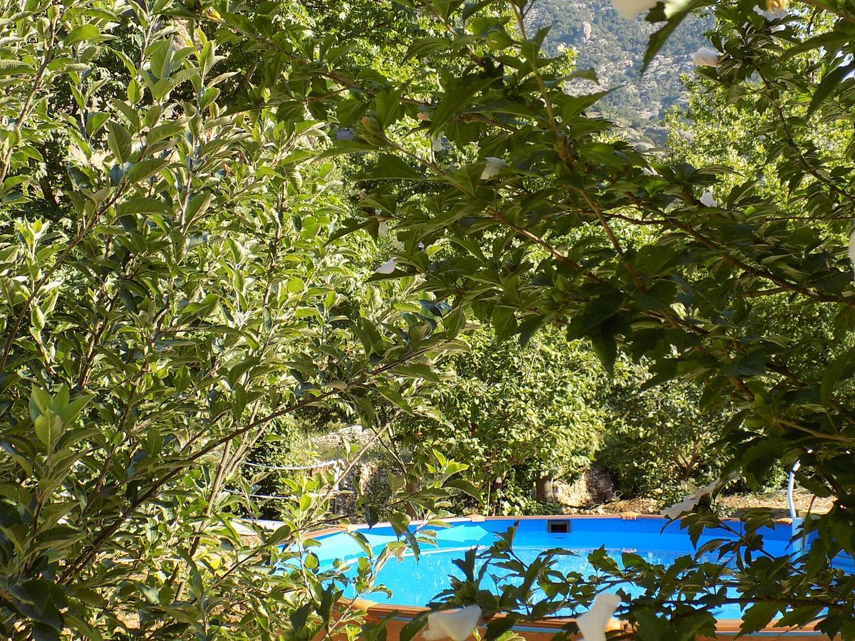 Eleftherios Guest house *