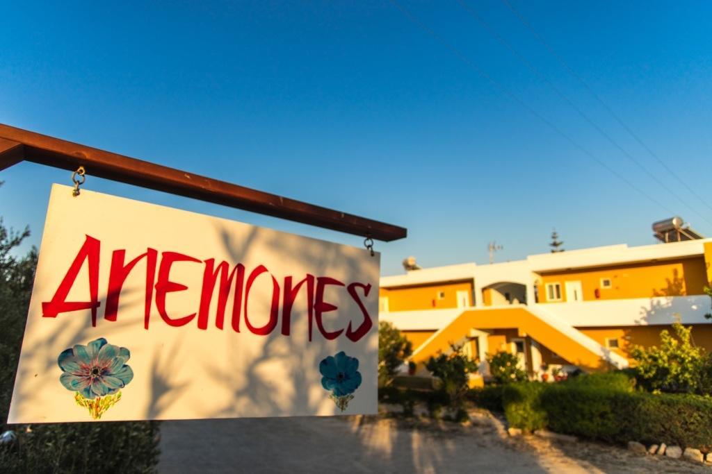 Anemones Studios & * Kos Town
